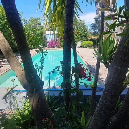 Le Petrus Balaruc-les-Bains